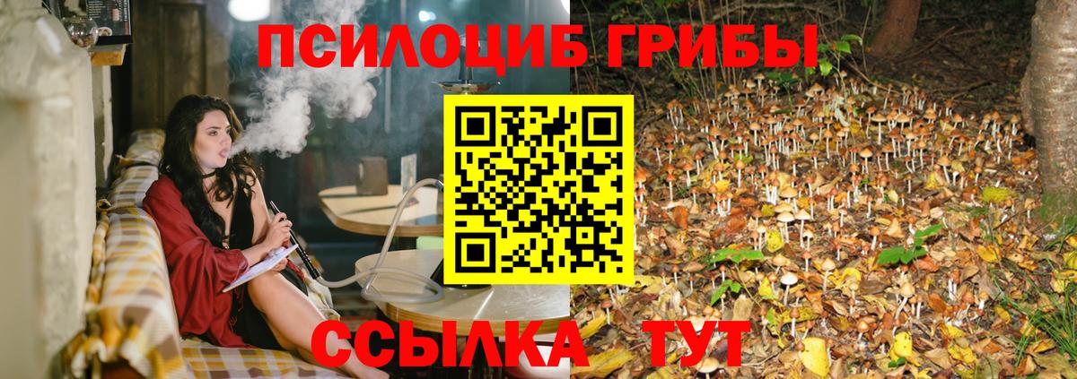 Коркино  Галлюциногенные грибы мухоморы  Вход с VPN 