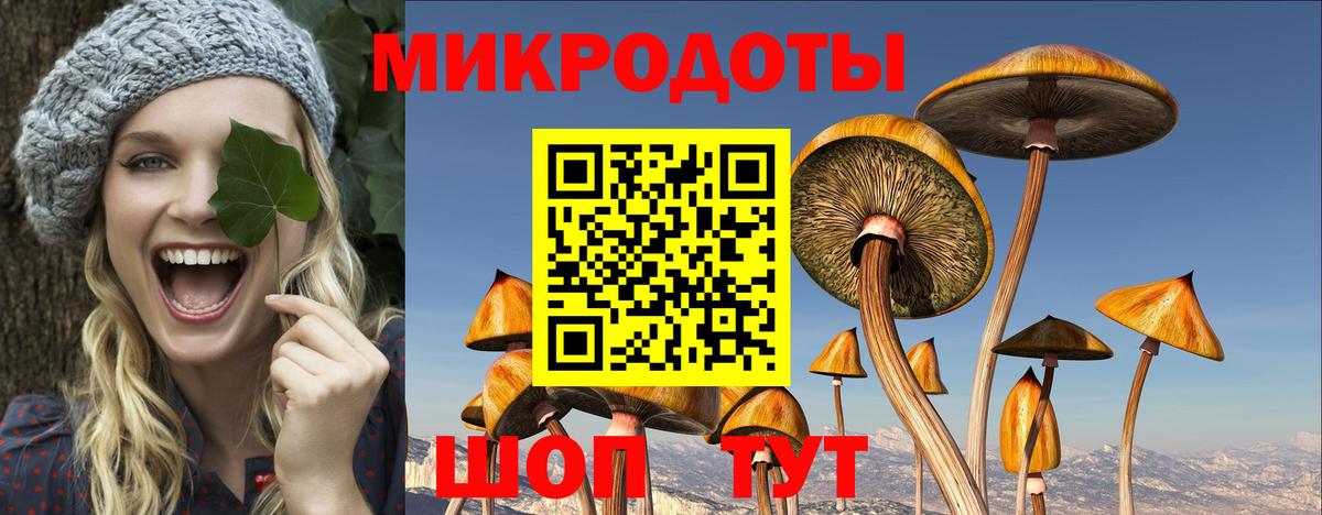 Псилоцибиновые грибы Magic Shrooms Коркино